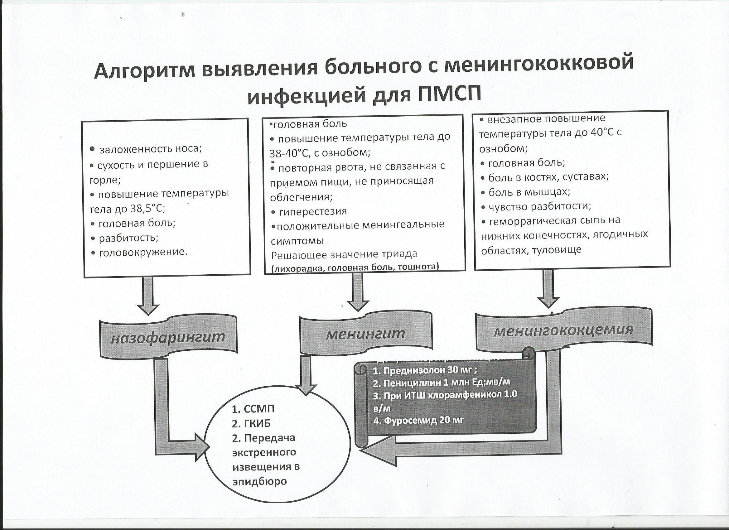 Алгоритм диагностических и тактических мероприятий при подозрении на  менингококковую инфекцию